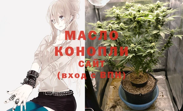 индика Кулебаки