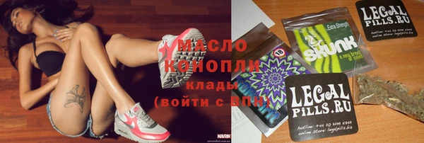 индика Кулебаки