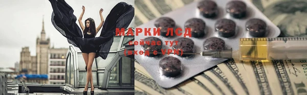 индика Кулебаки
