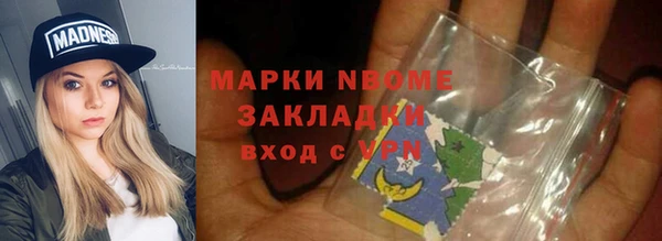 индика Кулебаки