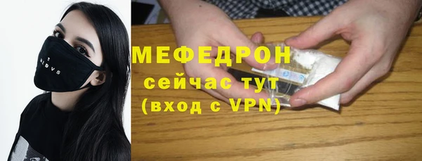 индика Кулебаки
