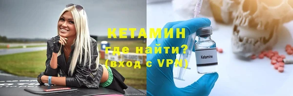 индика Кулебаки
