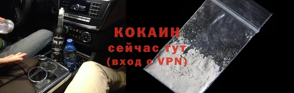 индика Кулебаки