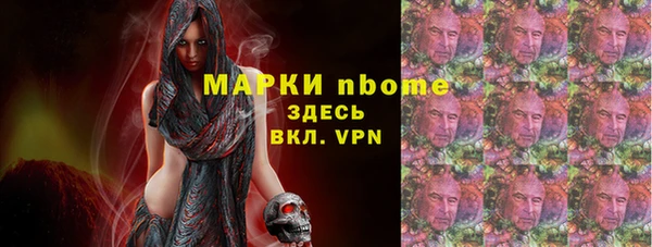 индика Кулебаки