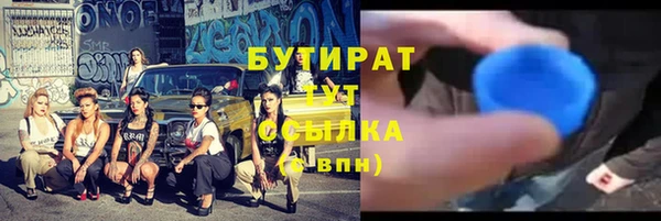 индика Кулебаки