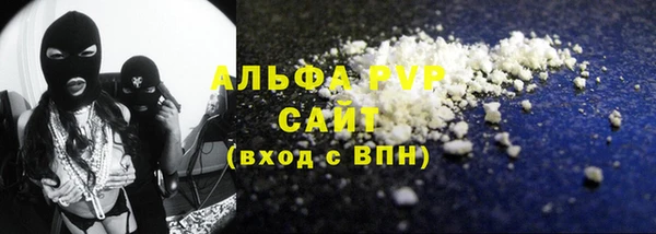 индика Кулебаки