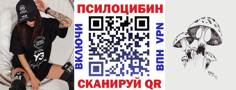 наркотики  Новошахтинск  Галлюциногенные грибы мухоморы 